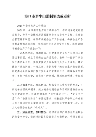 市XXX强制隔离戒毒所2024年安全生产工作总结