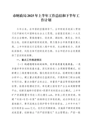 市财政局2025年上半年工作总结和下半年工作计划