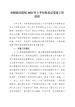 市财政局党组2025年上半年抓基层党建工作总结