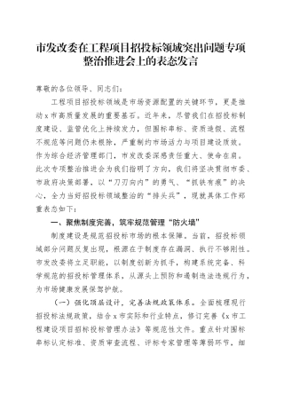 市发改委在工程项目招投标领域突出问题专项整治推进会上的表态发言