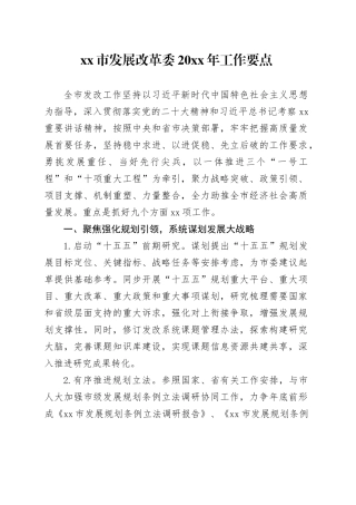 市发展改革委20XX年工作要点