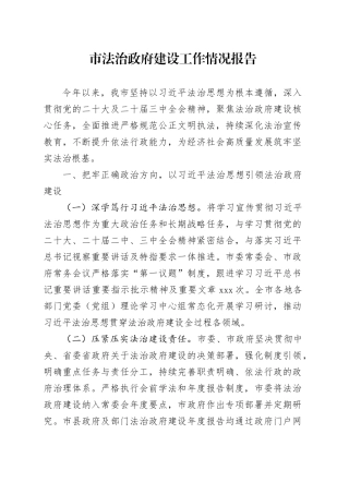 市法治政府建设工作情况报告