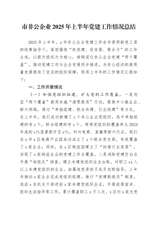 市非公企业2025年上半年党建工作情况总结