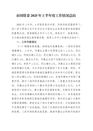 市国资委2025年上半年度工作情况总结（1）