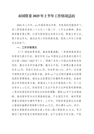 市国资委2025年上半年工作情况总结（1）