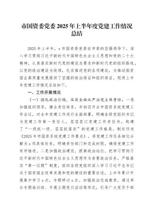 市国资委党委2025年上半年度党建工作情况总结（1）