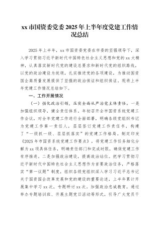 市国资委党委2025年上半年度党建工作情况总结
