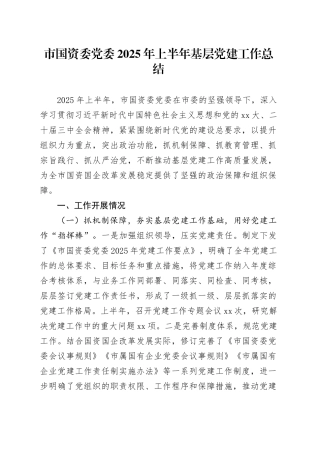 市国资委党委2025年上半年基层党建工作总结