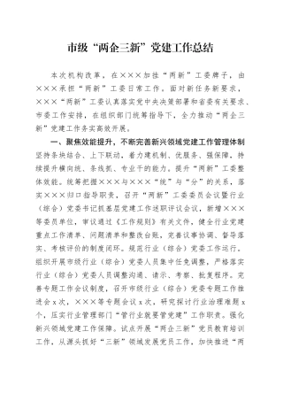 市级“两企三新”党建工作总结