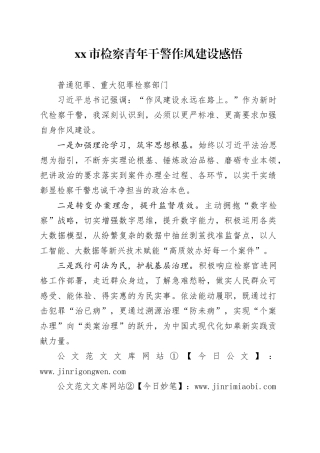 市检察青年干警作风建设感悟