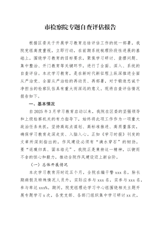 市检察院专题自查评估报告