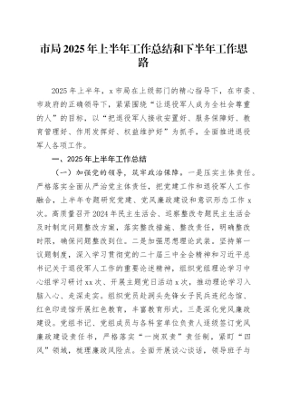 市局2025年上半年工作总结和下半年工作思路
