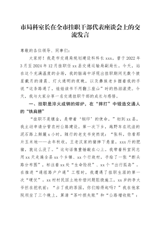 市局科室长在全市挂职干部代表座谈会上的交流发言