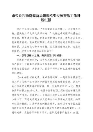 市粮食和物资储备局违规吃喝专项整治工作进展汇报