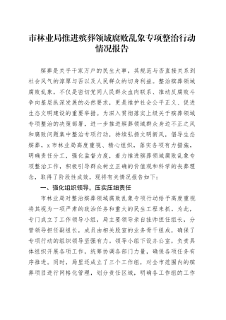市林业局推进殡葬领域腐败乱象专项整治行动情况报告