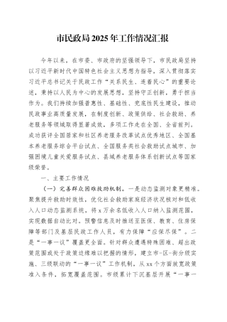 市民政局2025年工作情况汇报
