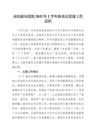 市民政局党组2025年上半年抓基层党建工作总结