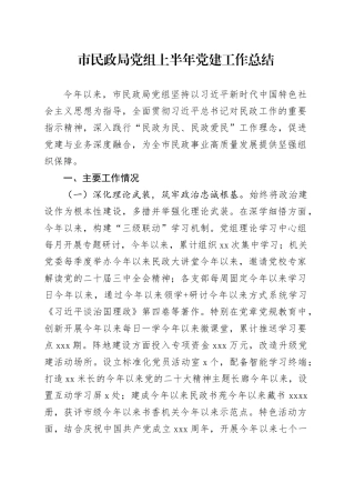 市民政局党组上半年党建工作总结