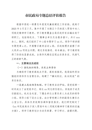 市民政局专题总结评估报告