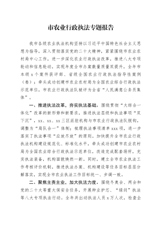 市农业行政执法专题报告