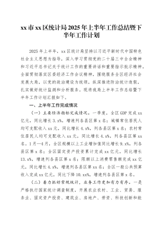 市区统计局2025年上半年工作总结暨下半年工作计划