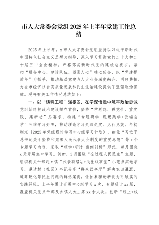 市人大常委会党组2025年上半年党建工作总结