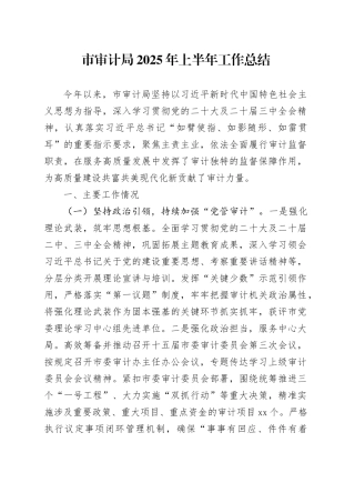 市审计局2025年上半年工作总结