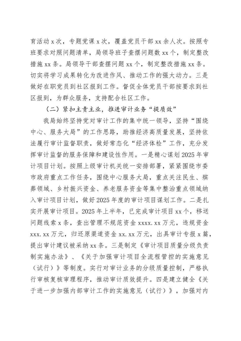 市审计局2025年上半年工作总结及下半年工作计划_第2页