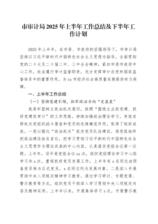市审计局2025年上半年工作总结及下半年工作计划