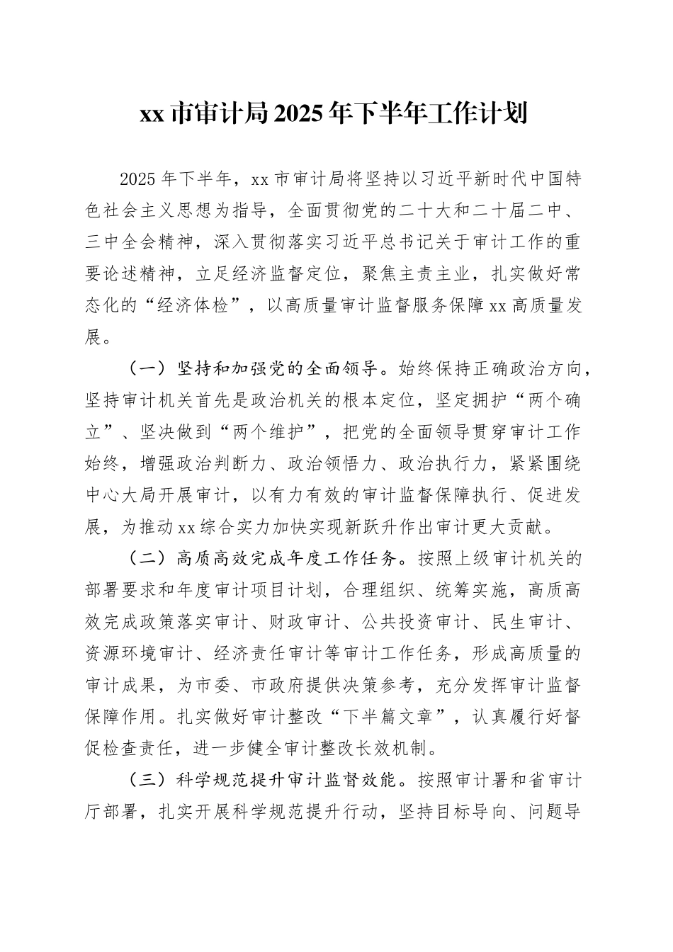 市审计局2025年下半年工作计划_第1页
