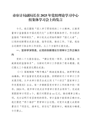 市审计局副局长在2025年党组理论学习中心组集体学习会上的发言