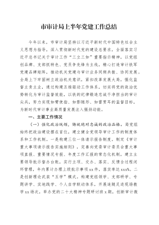 市审计局上半年党建工作总结