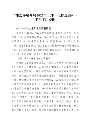 市生态环境分局2025年上半年工作总结和下半年工作安排