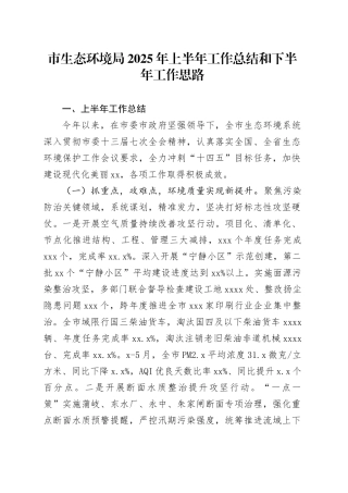 市生态环境局2025年上半年工作总结和下半年工作思路