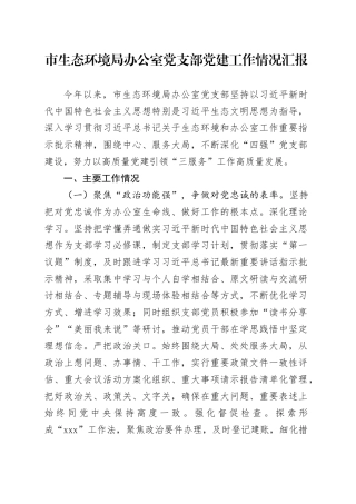 市生态环境局办公室党支部党建工作情况汇报