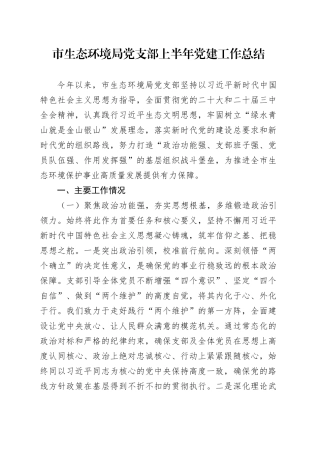市生态环境局党支部上半年党建工作总结