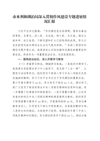 市水利和湖泊局深入贯彻作风建设专题进展情况汇报