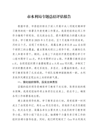 市水利局专题总结评估报告