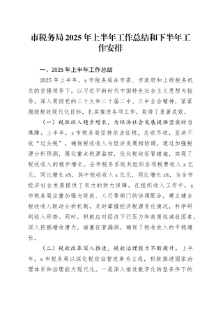 市税务局2025年上半年工作总结和下半年工作安排