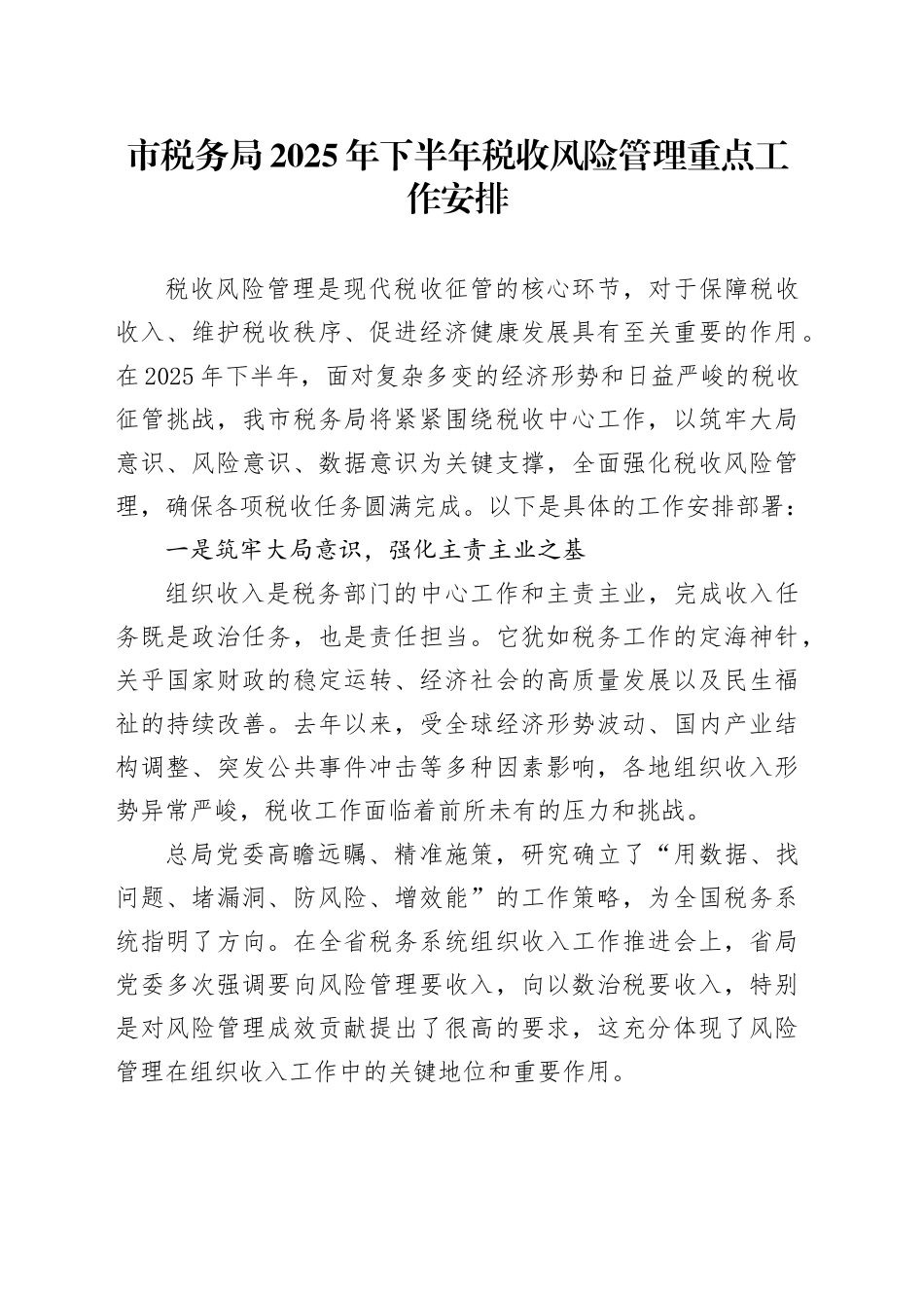 市税务局2025年下半年税收风险管理重点工作安排_第1页