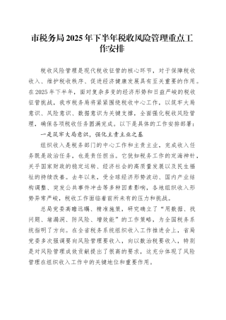 市税务局2025年下半年税收风险管理重点工作安排