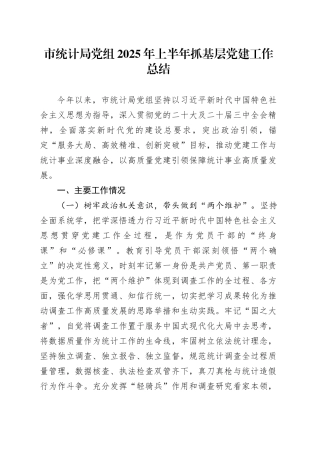 市统计局党组2025年上半年抓基层党建工作总结