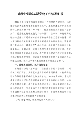 市统计局抓基层党建工作情况汇报