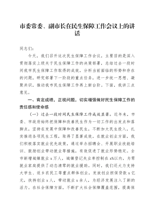 市委常委、副市长在民生保障工作会议上的讲话