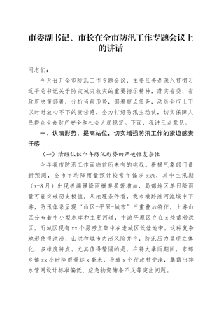 市委副书记、市长在全市防汛工作专题会议上的讲话