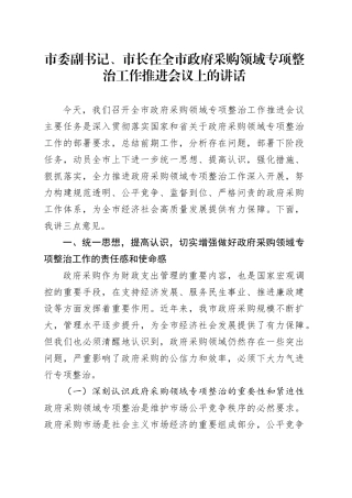 市委副书记、市长在全市政府采购领域专项整治工作推进会议上的讲话