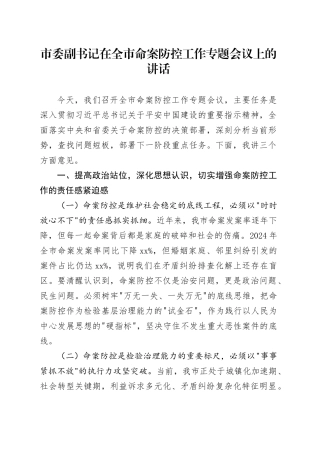 市委副书记在全市命案防控工作专题会议上的讲话