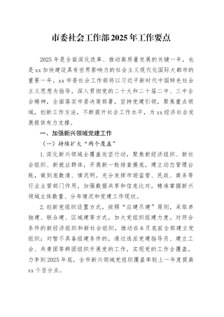 市委社会工作部2025年工作要点