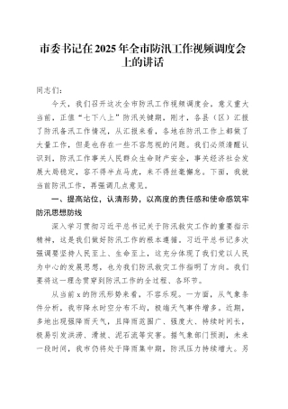 市委书记在2025年全市防汛工作视频调度会上的讲话