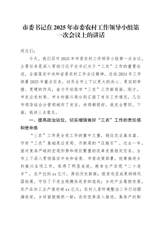 市委书记在2025年市委农村工作领导小组第一次会议上的讲话